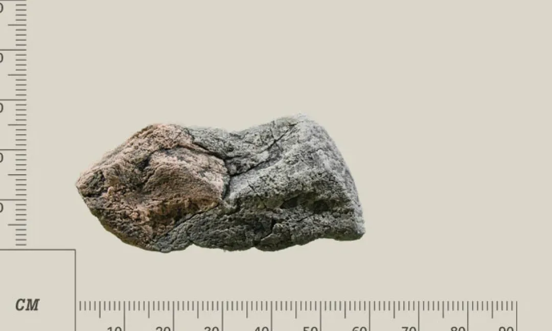 Hot Modul N Basalt granit Akvariebaggrunde