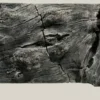 Online Orinoco Juwel 100x47 cm Akvariebaggrunde