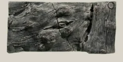 Online Orinoco Juwel 100x47 cm Akvariebaggrunde