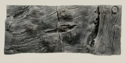 Orinoco Juwel 100x42 cm Akvariebaggrunde