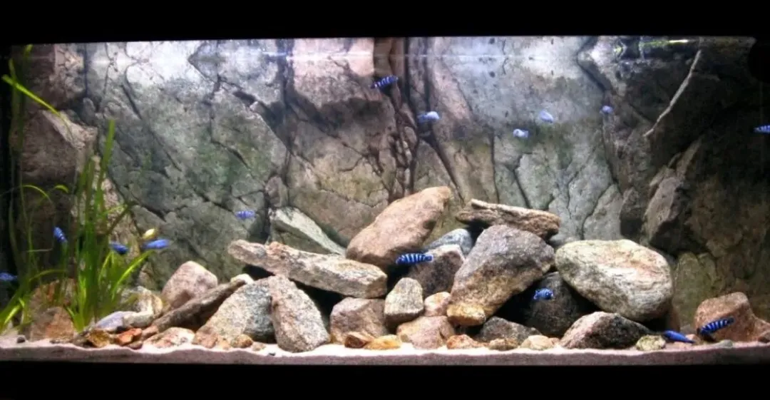 Clearance Rocky-Juwel 120 cm Akvariebaggrunde
