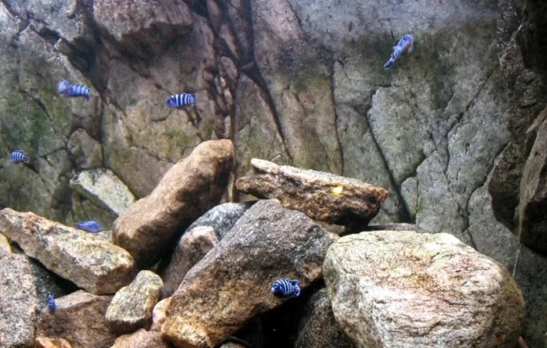 Clearance Rocky-Juwel 120 cm Akvariebaggrunde
