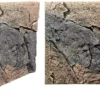 Hot Slim-Line 60 A Basalt/granit (50x55 cm) Akvariebaggrunde|Dekoration Til Terrarier