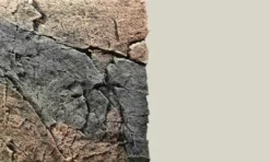 Hot Slim-Line 60 A Basalt/granit (50x55 cm) Akvariebaggrunde|Dekoration Til Terrarier