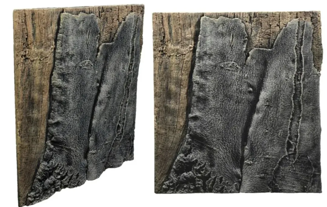 Best Slim-Line 60 B Amazone (50x55 cm) Akvariebaggrunde|Dekoration Til Terrarier