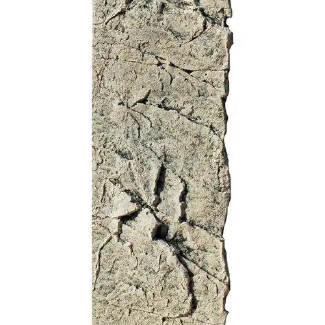 Discount Slim-Line 60 C Kalk (20x55 cm) Akvariebaggrunde|Dekoration Til Terrarier