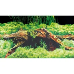 Outlet Baggrund til akvarium Beplantet og mos (50 cm høj) 120 cm Akvariebaggrunde