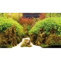 Best Baggrund til akvarium Canyon og Woodland (50 cm høj) 120 cm Akvariebaggrunde