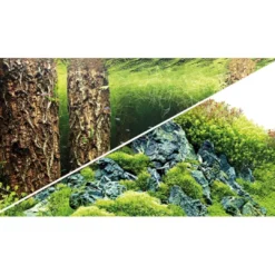 Outlet Baggrund til akvarium Scapers Hill og forest (50 cm høj) 100 cm Akvariebaggrunde