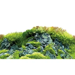 Outlet Baggrund til akvarium Scapers Hill og forest (50 cm høj) 100 cm Akvariebaggrunde
