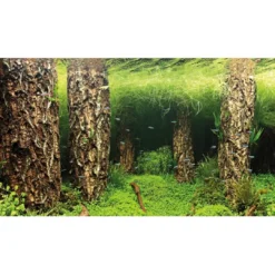 Outlet Baggrund til akvarium Scapers Hill og forest (50 cm høj) 100 cm Akvariebaggrunde