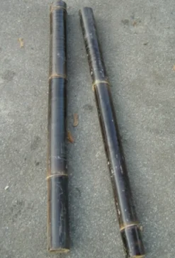 Discount Bambus sort 50 cm Dekoration Til Terrarier
