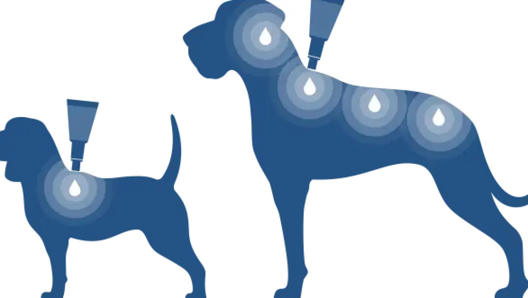 New hund 10-25 kg 4 x 2,5 ml Plejemidler Til Hund Med Fokus På Sundhed Og Velvære