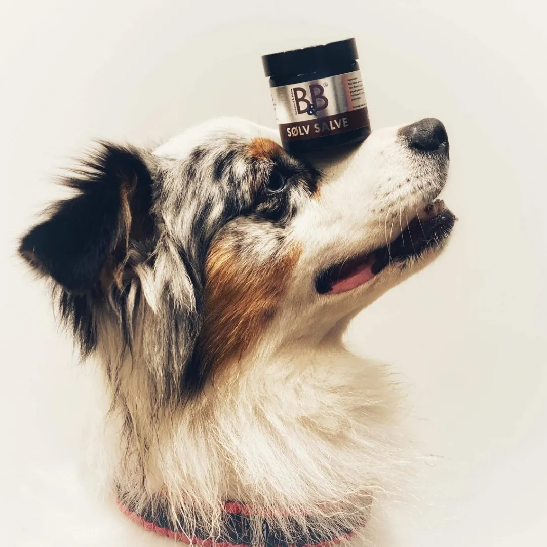 Best B&B Sølvsalve 60 ml Plejemidler Til Hund Med Fokus På Sundhed Og Velvære|Pleje Af Hvalpe - Alt I Plejemidler Til Pels, Poter Og Hud