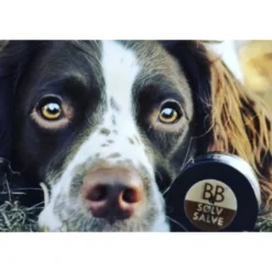 Best B&B Sølvsalve 60 ml Plejemidler Til Hund Med Fokus På Sundhed Og Velvære|Pleje Af Hvalpe - Alt I Plejemidler Til Pels, Poter Og Hud