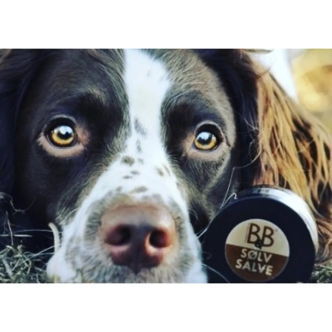 Best B&B Sølvsalve 60 ml Plejemidler Til Hund Med Fokus På Sundhed Og Velvære|Pleje Af Hvalpe - Alt I Plejemidler Til Pels, Poter Og Hud