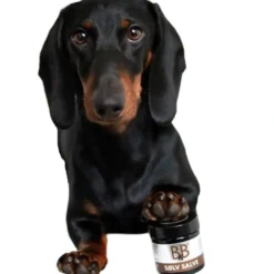 Best B&B Sølvsalve 60 ml Plejemidler Til Hund Med Fokus På Sundhed Og Velvære|Pleje Af Hvalpe - Alt I Plejemidler Til Pels, Poter Og Hud