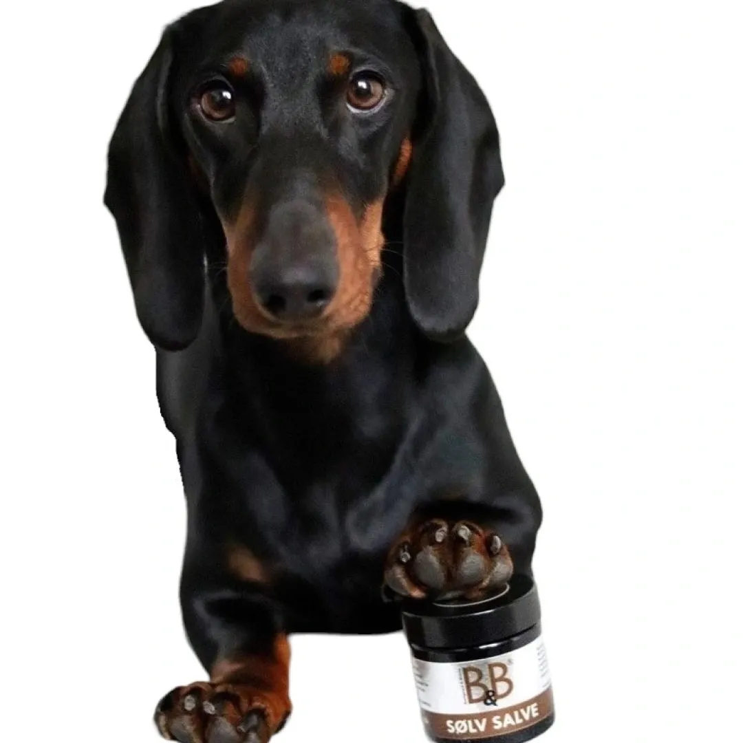Best B&B Sølvsalve 60 ml Plejemidler Til Hund Med Fokus På Sundhed Og Velvære|Pleje Af Hvalpe - Alt I Plejemidler Til Pels, Poter Og Hud