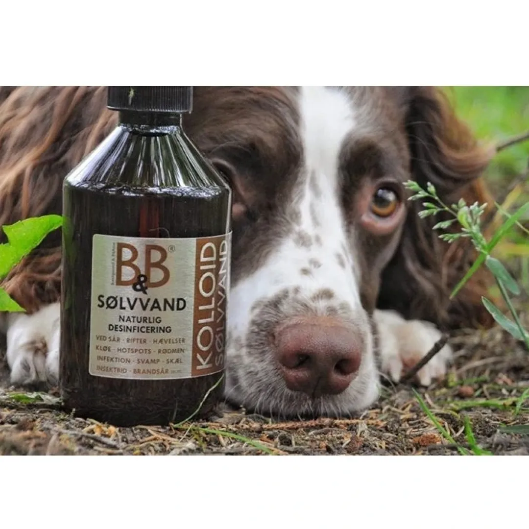 Online B&B Sølvvand 250 ml Plejemidler Til Hund Med Fokus På Sundhed Og Velvære|Pleje Af Hvalpe - Alt I Plejemidler Til Pels, Poter Og Hud