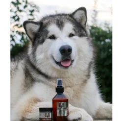 Online B&B Sølvvand 250 ml Plejemidler Til Hund Med Fokus På Sundhed Og Velvære|Pleje Af Hvalpe - Alt I Plejemidler Til Pels, Poter Og Hud