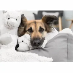 Online Be Eco Alpaka Eyleen - bamse i genbrugsplys til hunde Hundelegetøj Til Alle Hunde Leg Og Aktivering Året Rundt|Legetøj Til Hvalpe - Sjov Leg, Aktivering Og Tryghed Fra Første Dag