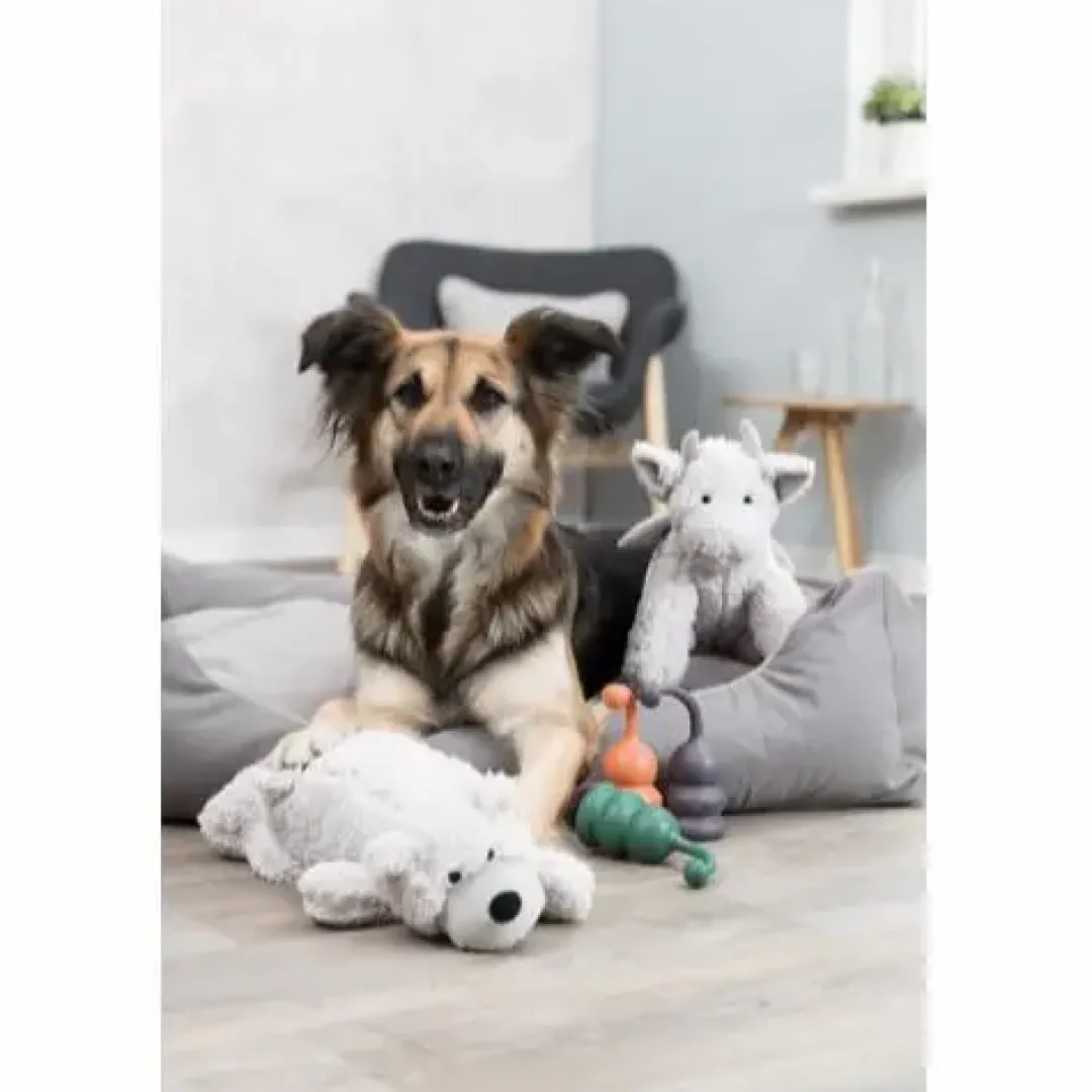 New Be Eco Drage Elwin - bamse i genbrugsplys til hunde Hundelegetøj Til Alle Hunde Leg Og Aktivering Året Rundt|Legetøj Til Hvalpe - Sjov Leg, Aktivering Og Tryghed Fra Første Dag