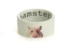 Best Hamster skål Drikkeflasker & Foderskåle Til Gnavere & Kaniner