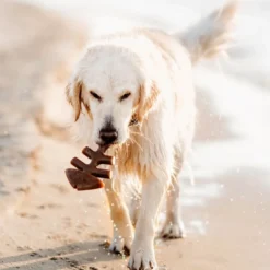 Sale Fishbone Stor 21 cm - tyggeben med laksesmag Hundelegetøj Til Alle Hunde Leg Og Aktivering Året Rundt