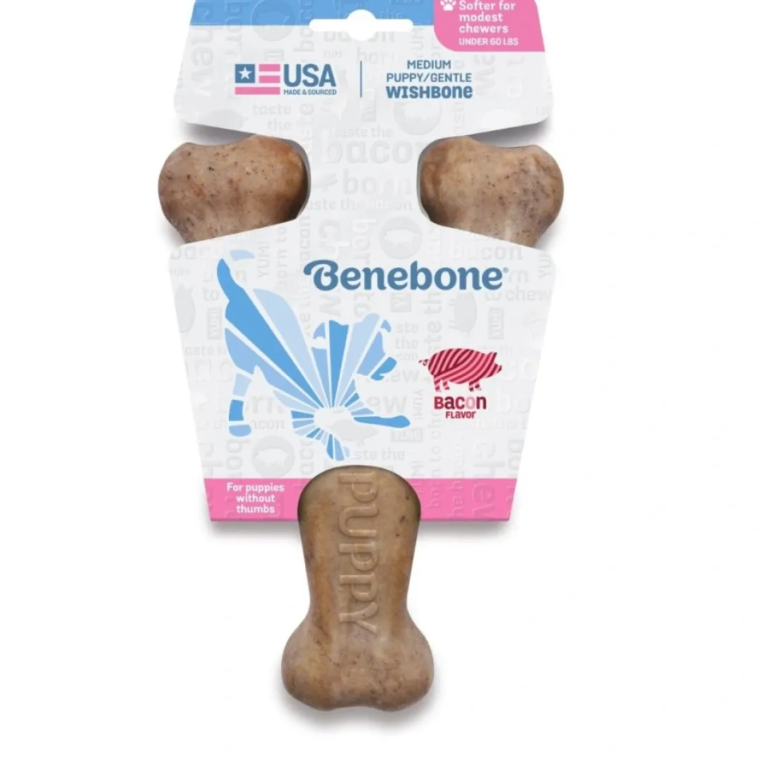 Clearance Puppy Wishbone Bacon M - hvalpe tyggeben med bacon Hundelegetøj Til Alle Hunde Leg Og Aktivering Året Rundt|Legetøj Til Hvalpe - Sjov Leg, Aktivering Og Tryghed Fra Første Dag