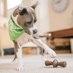 Hot Zaggler Peanut M - tyggeben med peanut Hundelegetøj Til Alle Hunde Leg Og Aktivering Året Rundt