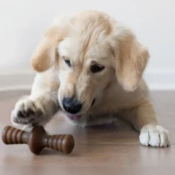 Best Zaggler Peanut S - tyggeben med peanut Hundelegetøj Til Alle Hunde Leg Og Aktivering Året Rundt