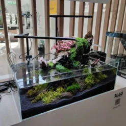 Best Blau Glasakvarium CUBIC Aquascaping Shallow 17 45x24x16 cm Akvarier