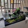 Best Blau Glasakvarium CUBIC Aquascaping Shallow 44 62x36x20 cm Akvarier