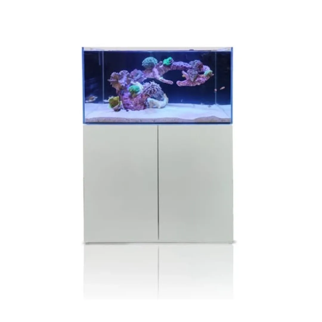 Discount Blau Gran Cubic Super Reef 122 White 366 liters Saltvandsakvarium Akvarier Til Saltvandsfisk|Akvarier