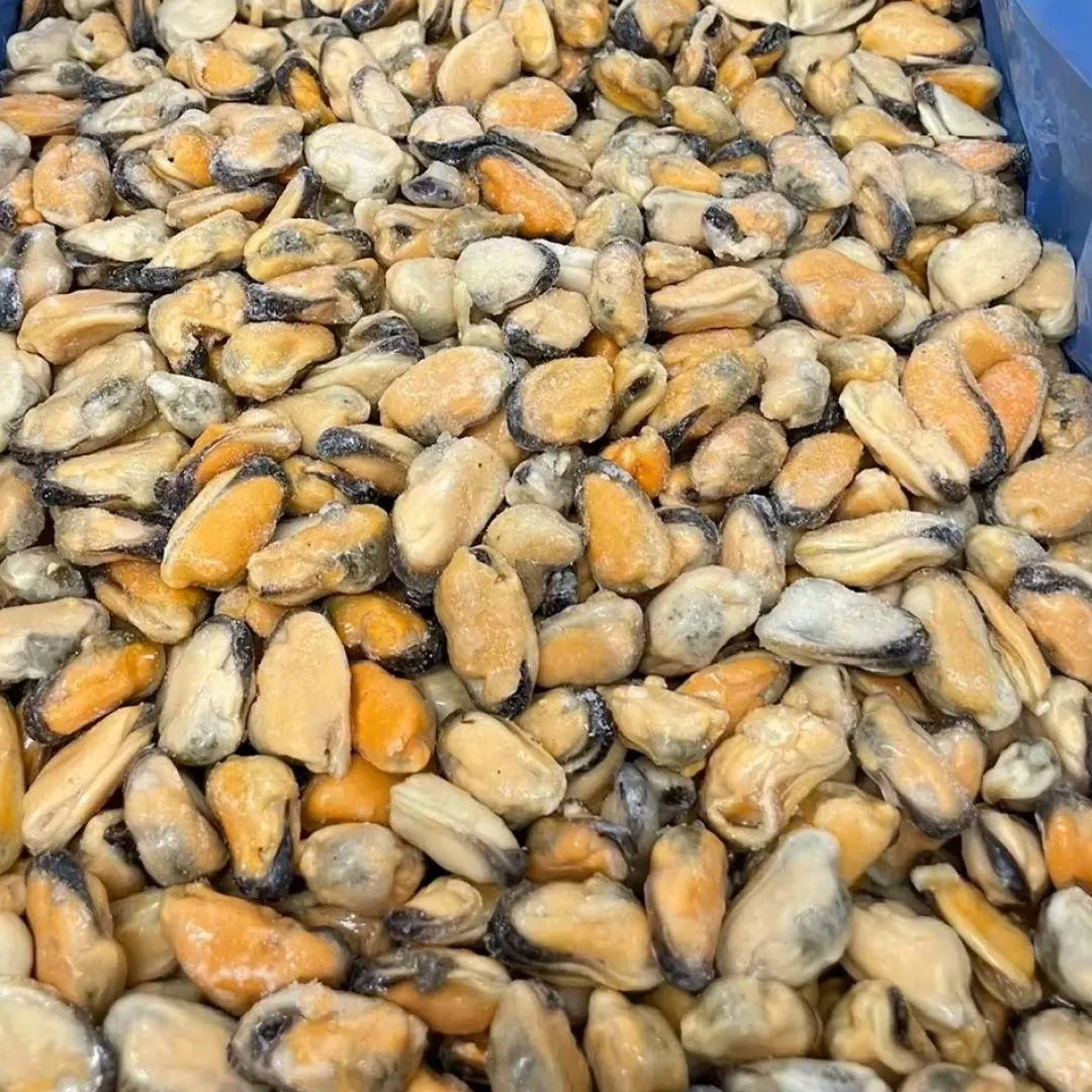Hot Blåmuslinger uden Skal - 1 kg (Frosne) Fiskefoder Til Ferskvandsfisk