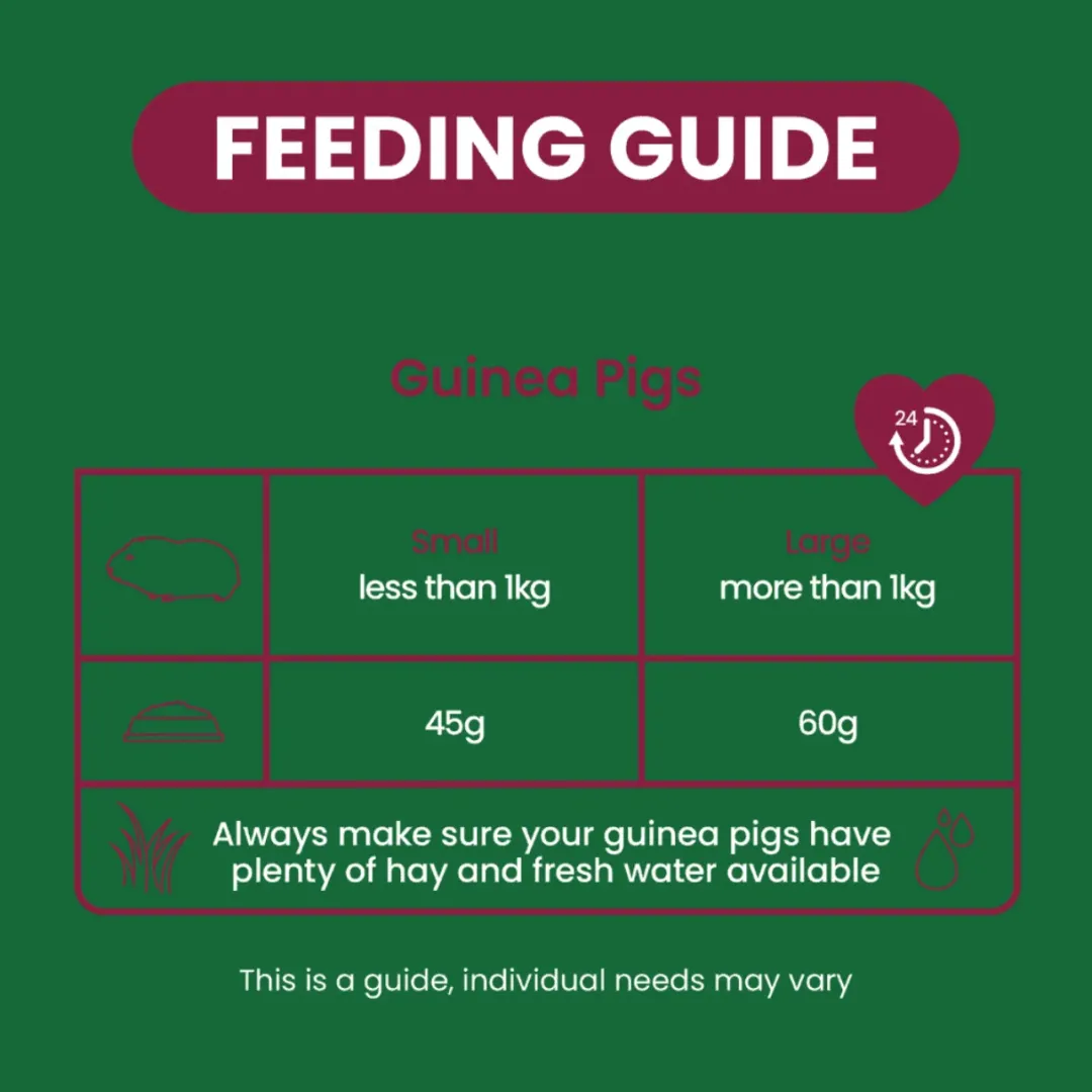 Excel Indoor Guinea Pig 1,5 kg - målrettet foder til inde marsvin Foder & Snack Til Gnavere & Kanin