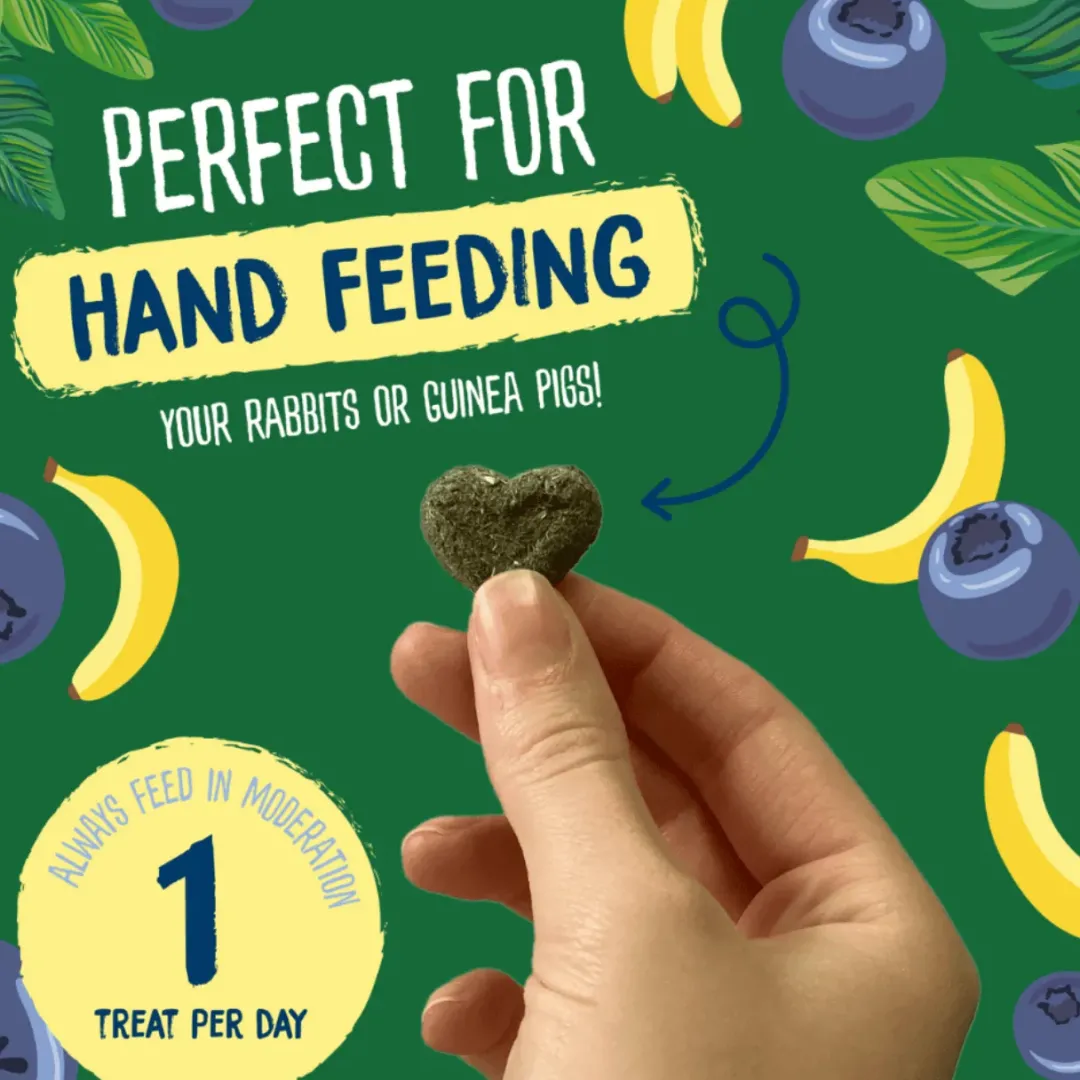 Discount Excel Natures Snack Fruit Feasts 60 g - Frugtsnacks til håndfodring Foder & Snack Til Gnavere & Kanin