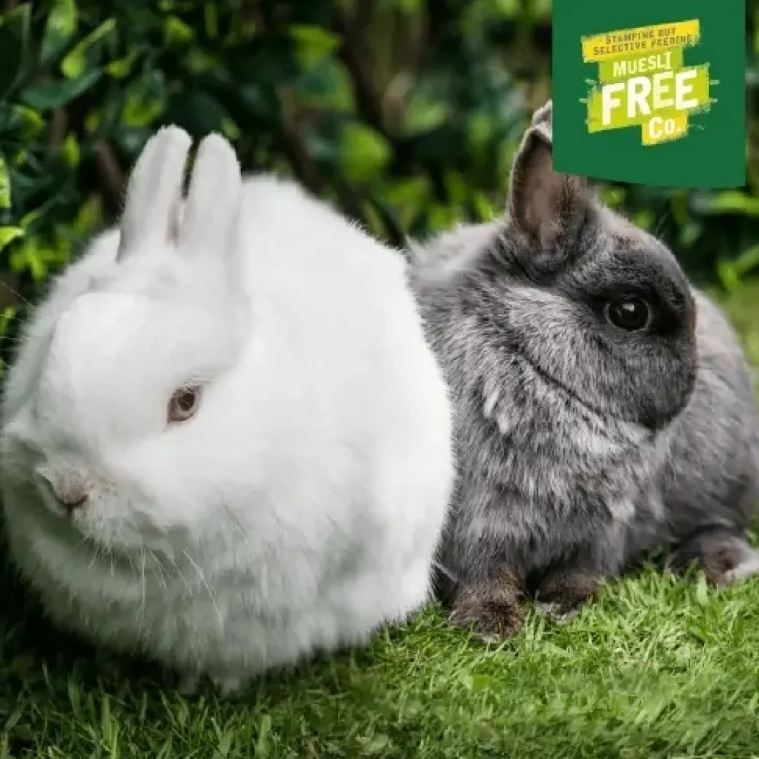 Clearance Excel Rabbit Junior & Dwarf 3 kg - Sund vækst og trivsel Foder & Snack Til Gnavere & Kanin