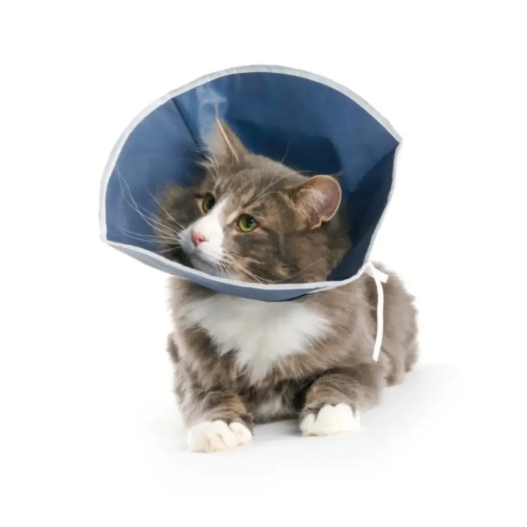Online stof halskrave 31 cm til katte og små hunde Hundetilbehør Til Hvalpe - Tryg Start I Hverdagen|Tilbehør Til Hund - Alt Til En Glad Og Tryg Hverdag For Din Bedste Ven