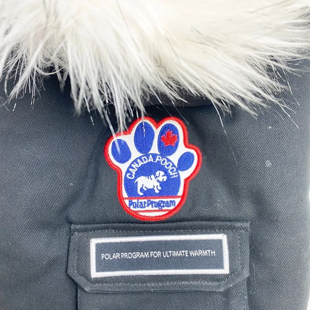 Sale Canada Pooch Everest explorer Hundejakke Sort 66 cm nr 26 Hundetøj Til Hvalpe - Varme Dækkener Og Sko Til Trygge Gåture|Hundetøj Til Alle Hunde Med Varme Dækkener Og Sko
