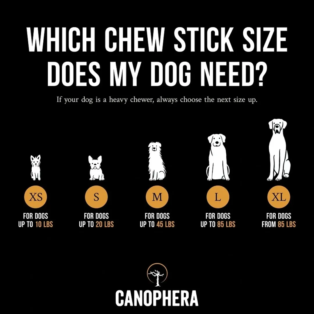 Clearance XS - naturligt tyggelegetøj til små hunde Hundeguf Og Tyggeben Til Hunde