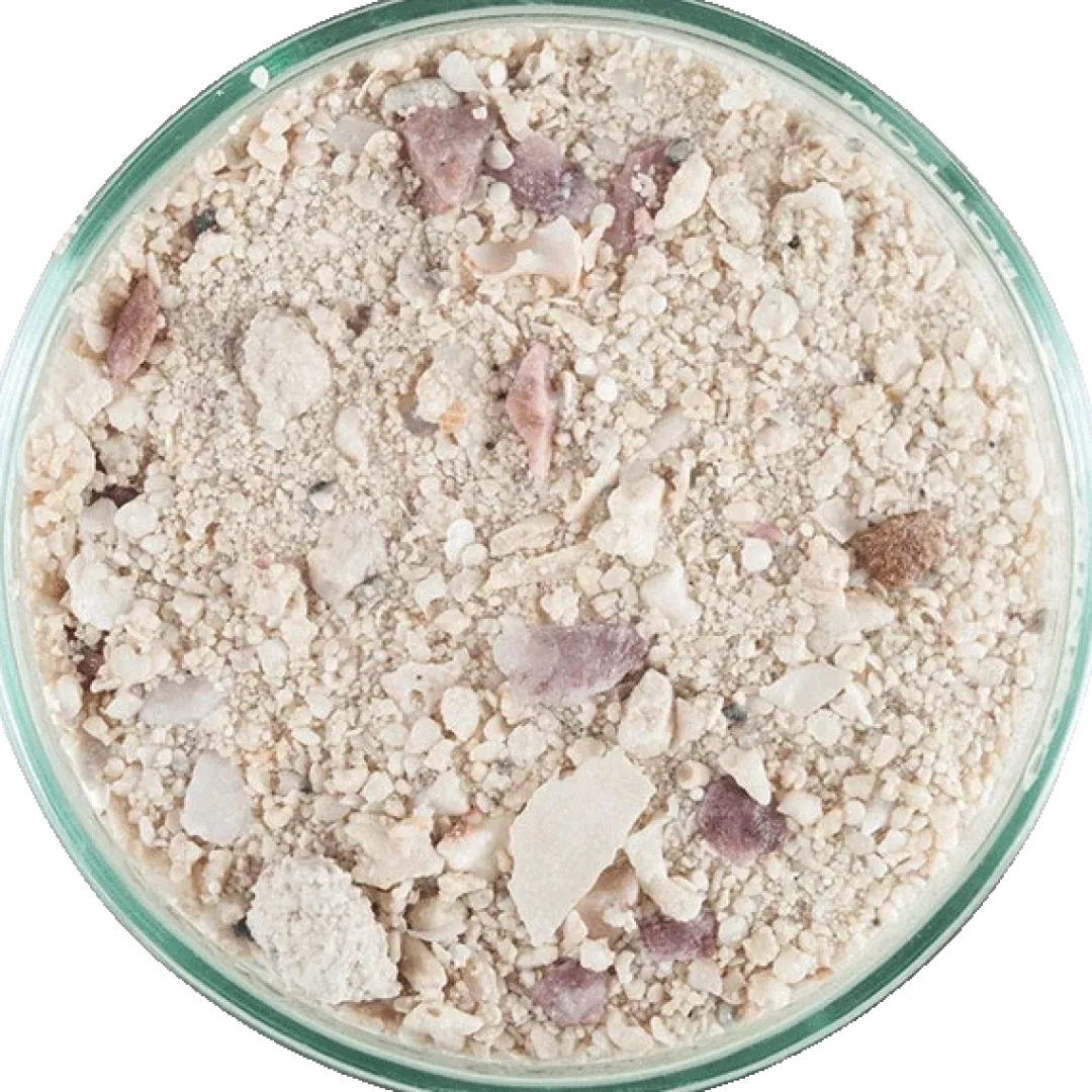 Online Aragalive Bimini Pink 9,07 kg Dekoration Til Saltvand