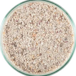 Online Aragalive Fiji Pink 9,07 kg Dekoration Til Saltvand
