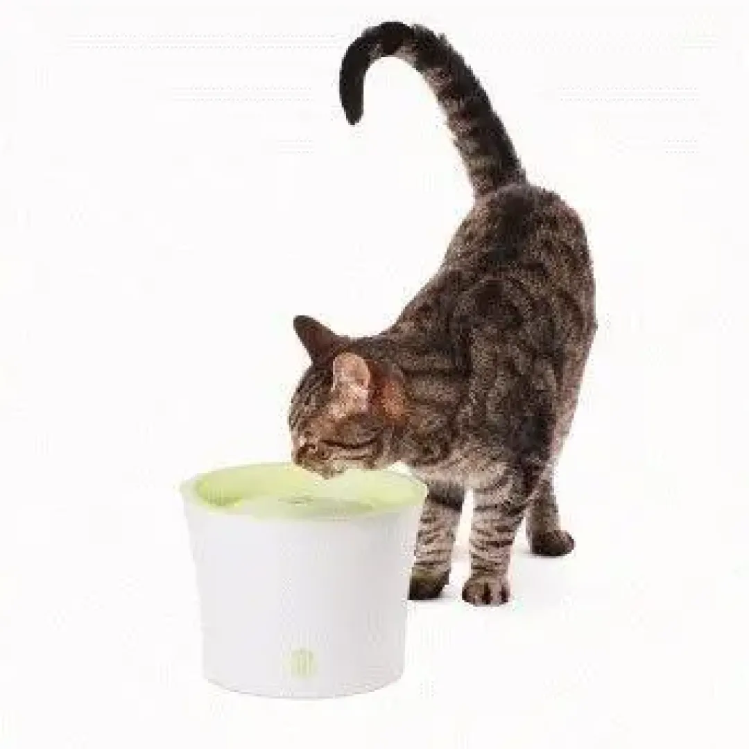 Best Design drikkefontæne 3 liter hvid/lime Mad- Og Vandskåle Til Katte|Killingeskåle - Mad- Og Vandskåle Til Killinger