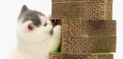 New Senses 2.0 Scratcher Kradsetræer Og Klatremøbler Til Kat
