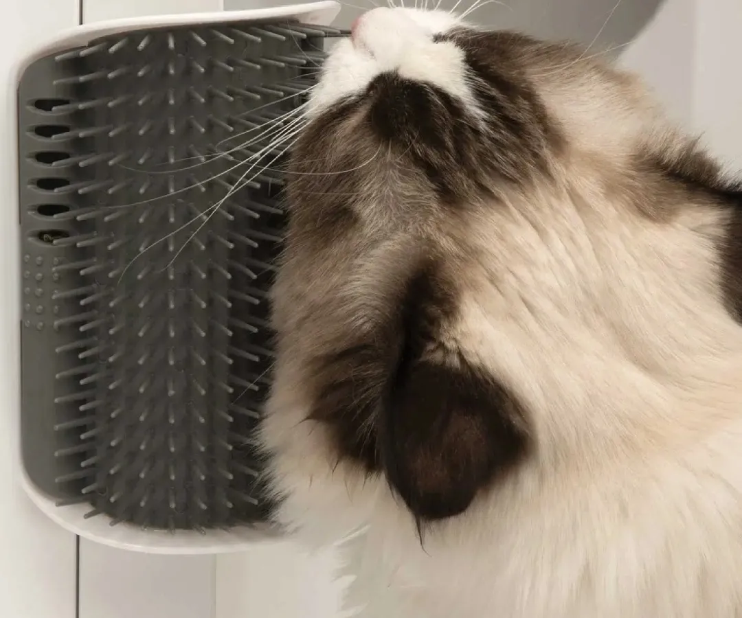 Hot Senses 2.0 Self Groomer - Kattebørste Kradsetræer Og Klatremøbler Til Kat