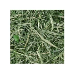 Clearance Chipsi Sunshine Timothy Hø 800 g Foder & Snack Til Gnavere & Kanin