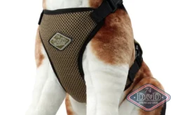 Sale D & D All Season Hundesele XS - Med varm/kold gelepude til året rundt komfort Hundeseler Til Alle Behov Og Hundestørrelser
