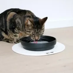 Best D&D CAT Keramisk Drikkeskål (L) ACE Ø20 cm. Sort Mad- Og Vandskåle Til Katte|Killingeskåle - Mad- Og Vandskåle Til Killinger