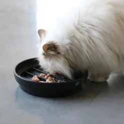 Clearance D&D CAT SUE- Slow Feeder Mad- Og Vandskåle Til Katte|Killingeskåle - Mad- Og Vandskåle Til Killinger